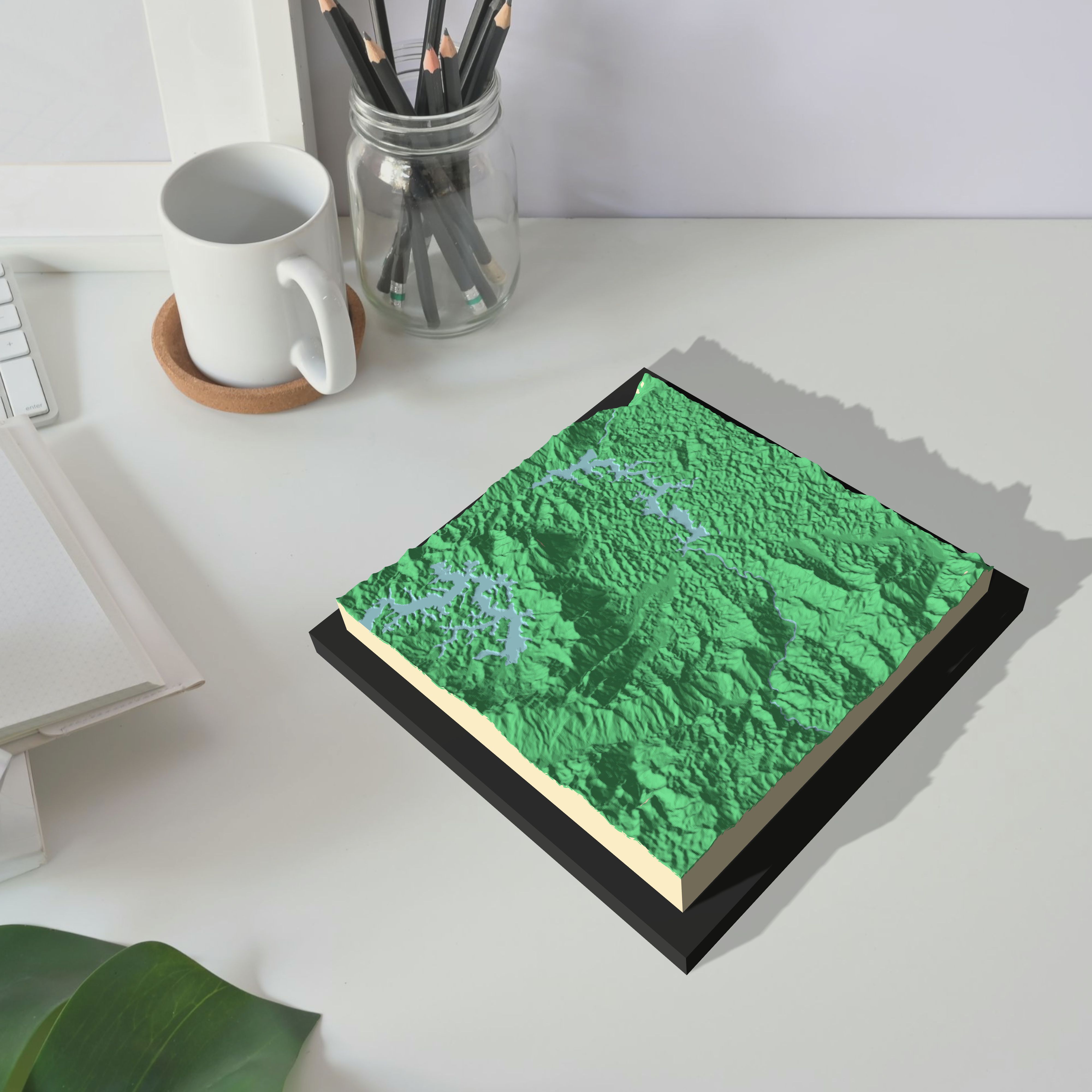 Carolina del Príncipe