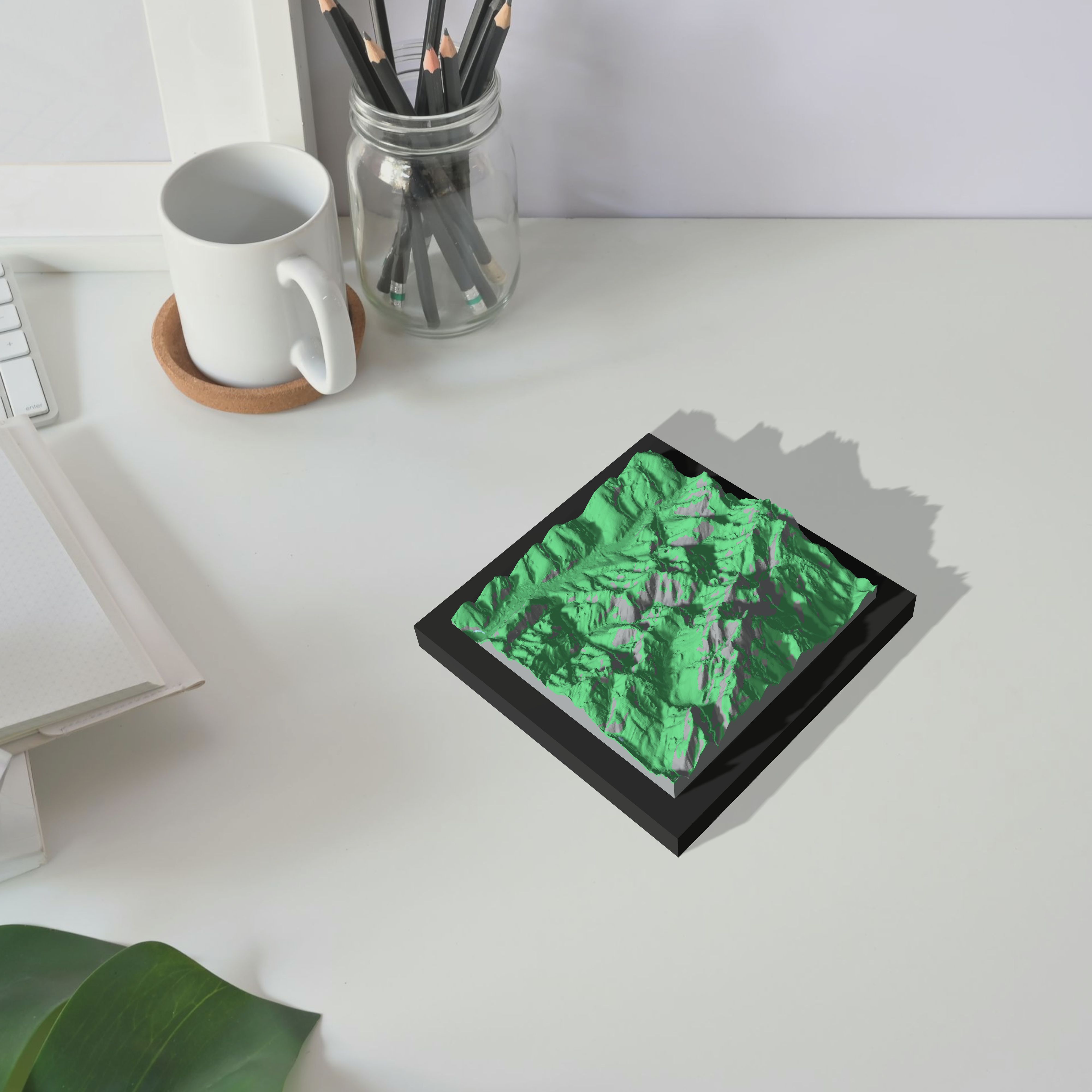 Lípa nad Dřevnicí, Lípa